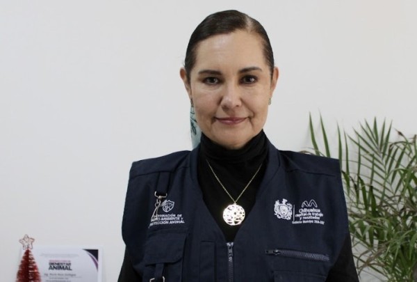 Invitan a jornada de limpieza fina en el Río Sacramento