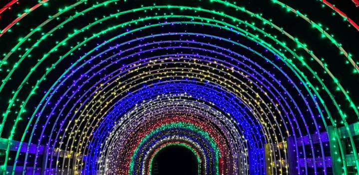 Holland Ridge Farms blooms with holiday brilliance in U-Pick Tulips Winter Wonderland