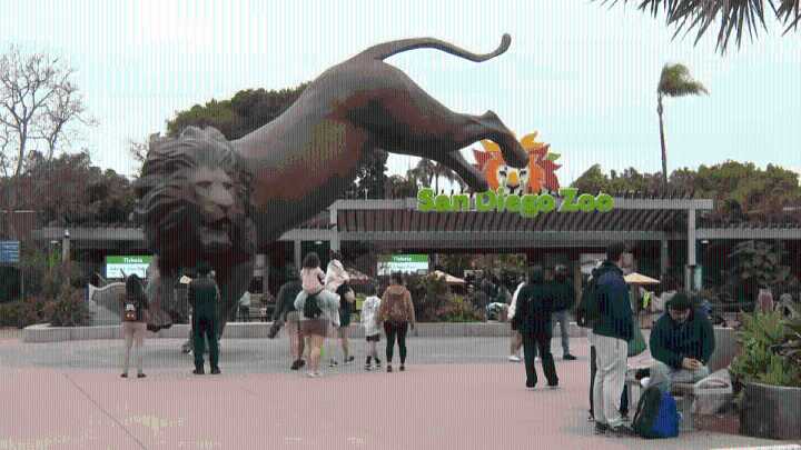 Zoo San Diego comenzará a cobrar por el estacionamiento en enero