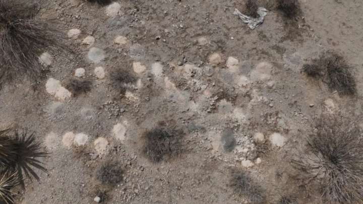 Macabro hallazgo en Halloween: descubrieron “una pila” de 300 restos humanos en Las Vegas