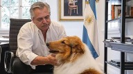 Alberto Fernández despidió a su perro Dylan en las redes sociales