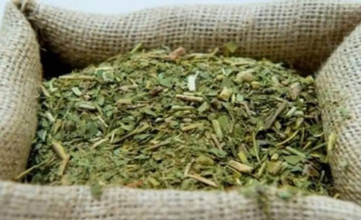 El Gobierno avanza con la desregulación y libera el precio de la yerba mate