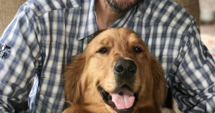 Daniel Scott Higgins