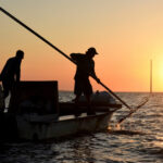 Florida to reopen bay nationally known for its oysters