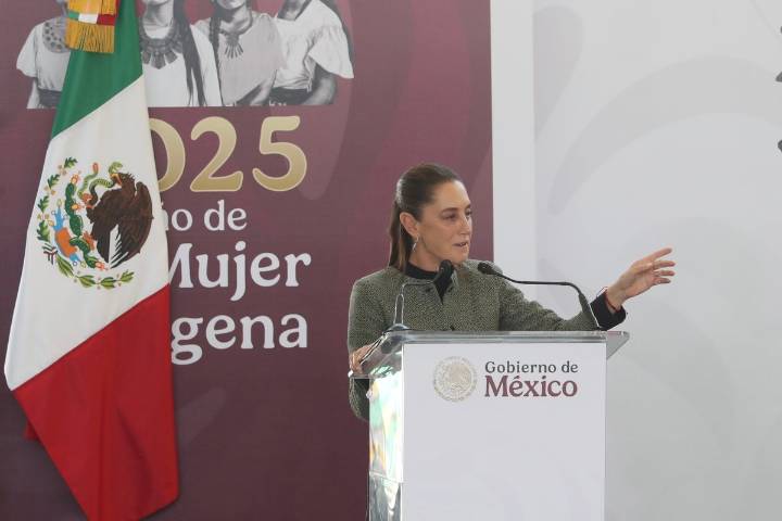 Plan Michoacán por la Paz, expresión del humanismo que guía a la 4T: Morena