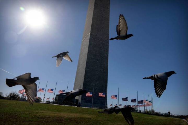 All government shutdowns disrupt science