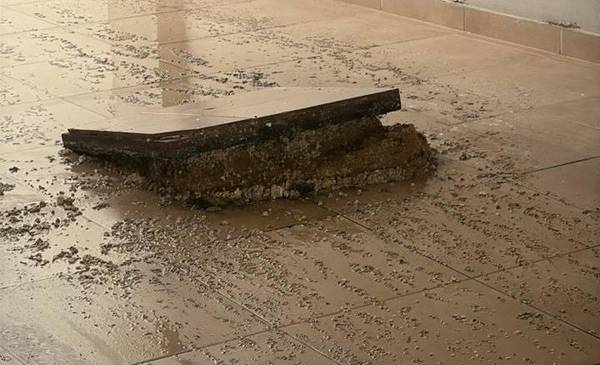 Queja en La Loma por cloacas colapsadas y falta de respuesta oficial