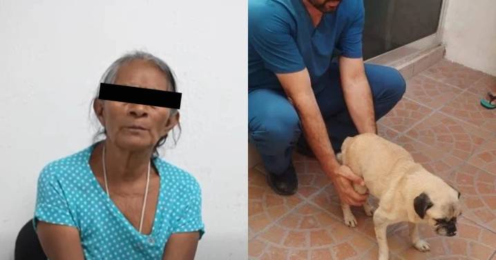Cae abuelita que lanzó a un perrito desde un balcón en Tuxtla Gutiérrez, Chiapas