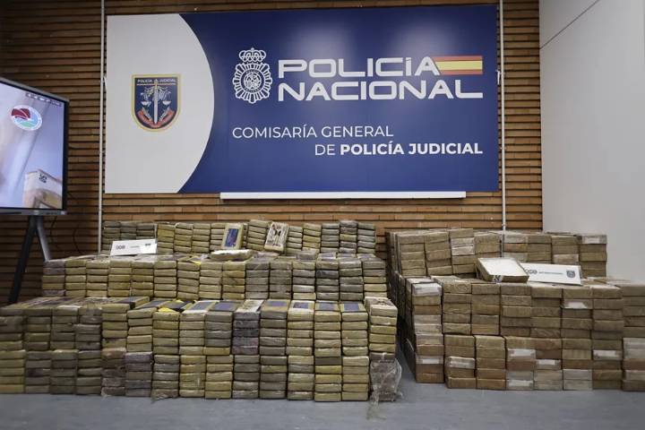Golpe al Cártel Jalisco Nueva Generación en España: 20 detenidos que traían droga en maquinaria pesada