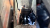 Florida Community Stunned By Dog Found Inside Trash Compactor Moments Before A Tragic Outcome