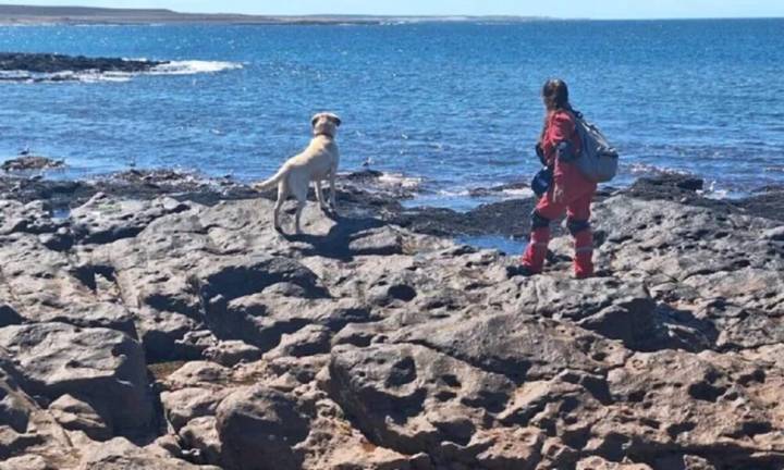 Un mes de misterio por la pareja de jubilados desaparecida en Chubut: cómo sigue la búsqueda