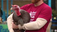 Baltimore students celebrate pardoning of Thanksgiving turkey