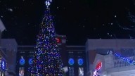 Newport on the Levee ringing in the holiday season with tree lighting, fireworks