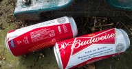 Idiot driver crashes car while 'peeing into can of Budweiser' as cops baffled