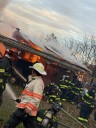 Horse killed after flames tear through barn in Mass.