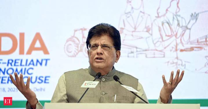 Israel calls India the 'next big thing'