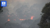 Cudlee Creek bushfire class action trial begins in SA's Supreme Court