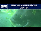Manatee Rescue Center expanded at ZooTampa