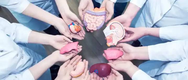 MP News: Medicos Seek SOP To Boost Organ Donation, Involve District Admins