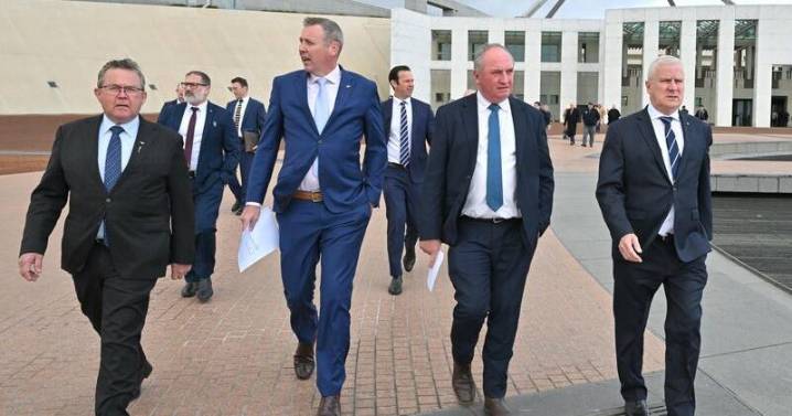 Nationals council ditches net zero from policy platform