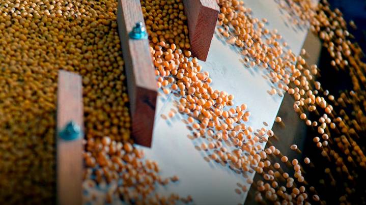 La soja cerró una semana muy positiva en Chicago y se consolida sobre los US$400 por tonelada