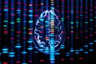 Hundreds of genes act differently in the brains of men and women