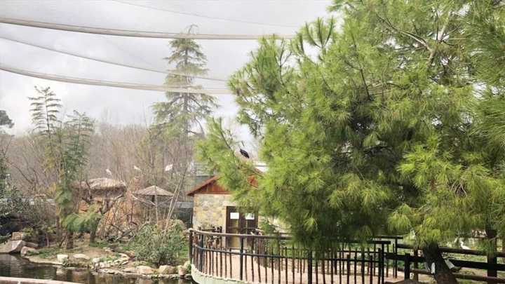 El Zoo de Córdoba aplica medidas preventivas ante un posible caso de gripe aviar tras la muerte de un ñandú