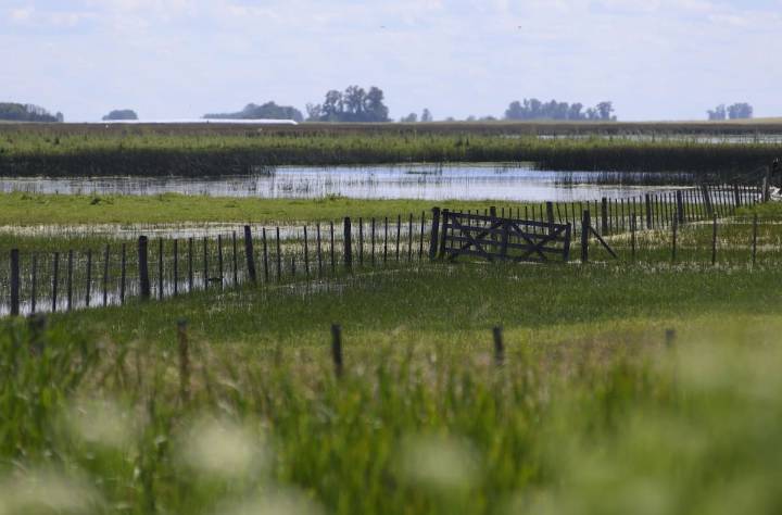 “Lo establece la ley”. Fuerte cruce entre Carbap y el gobierno bonaerense por una cuota extra del Inmobiliario Rural