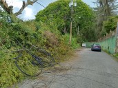 Se quemó cableado y dejó a un gentío sin internet
