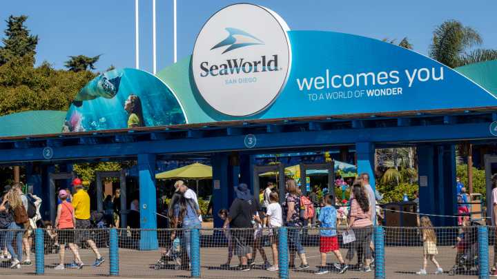 SeaWorld's Latest Ban Rule Faces Backlash From Visitors Who Say It Violates Their Rights
