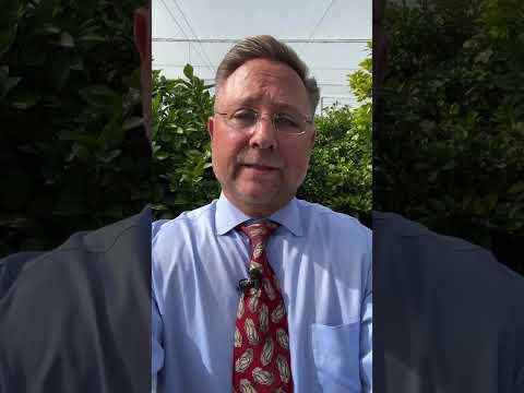 Polk County grove opens Florida’s first U-pick citrus operation grown under protective screening