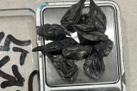 Secuestraron cocaína tras un operativo contra el narcomenudeo en Federación