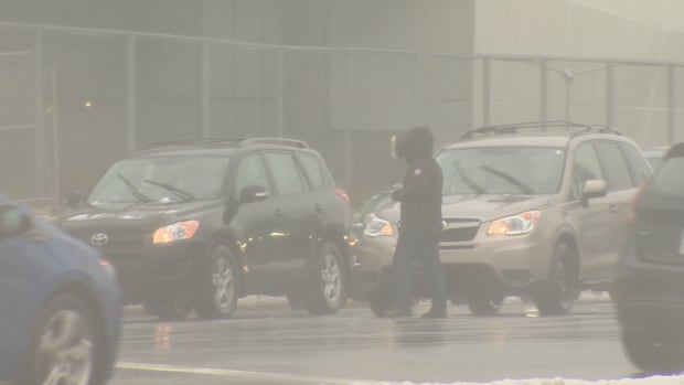 'Weather bomb' expected to bring heavy rain, wind to parts of N.L.