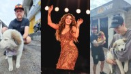 Integrante del staff de Shakira adopta un perrito en Ecuador; historia cautiva a fans