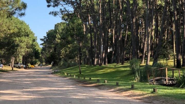 Ni Pinamar ni Cariló: la playa a 4 horas de Buenos Aires que es tendencia por su bosque y excursiones 4x4