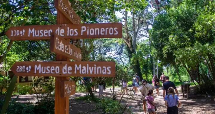 Media sanción para la restitución de los pinares históricos en Gesell