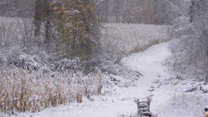 Thanksgiving storms could impact travel. What to expect in NY