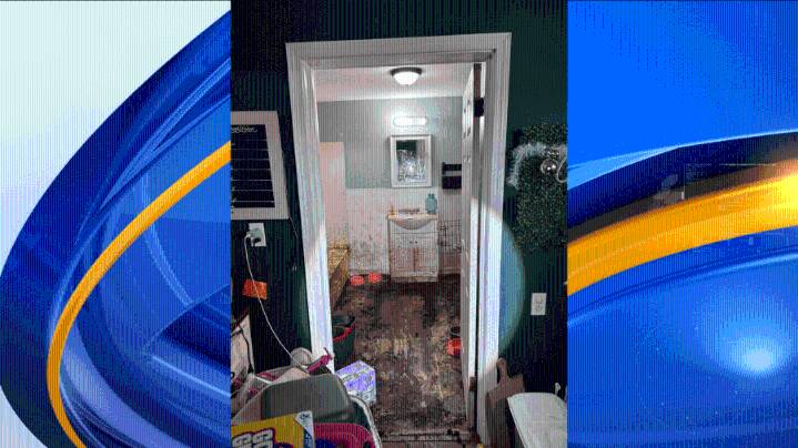 Women arrested after Limestone Co. deputies find kids, animals living in 'heartbreaking' conditions