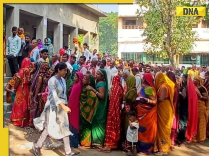 DNA TV Show: Analysis of Bihar Assembly Elections Phase 1 as state records 64%