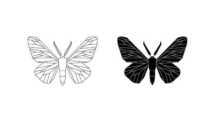 "One Of The Most Beautiful Experiments In Evolutionary Biology": What The Peppered Moth Taught Us About Evolution