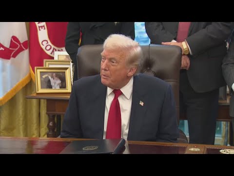 Trump floats $2,000 'dividend' checks amid tariff revenue talks