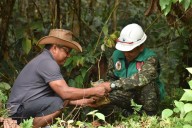 Ejército Nacional lidera siembra de 2000 plántulas en Mitú, Vaupés