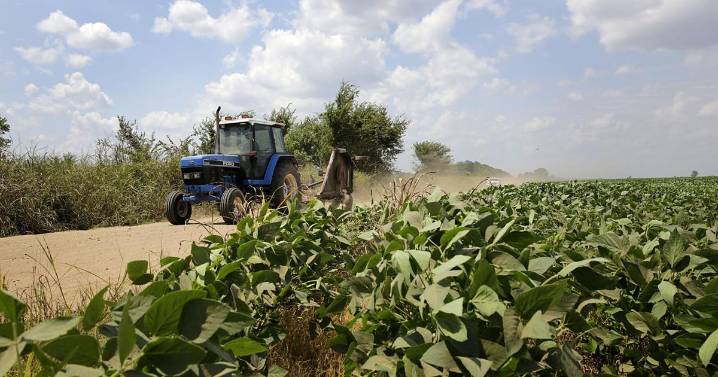 Oklahoma soybean industry struggles as China reduces imports since tariffs