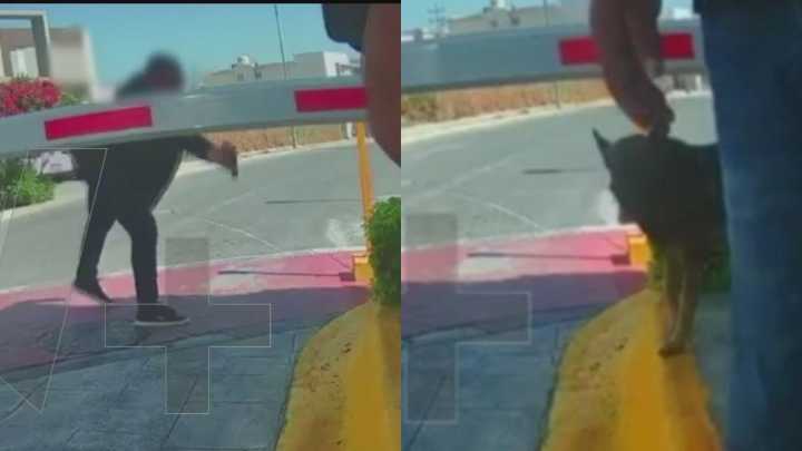 Captan a Vecino Agrediendo a Perritos en Fraccionamiento Privado de García, Nuevo León