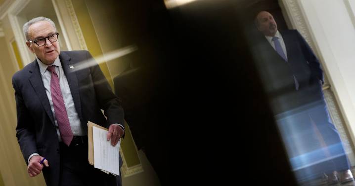 The Solution to Democratic Discontent With Chuck Schumer