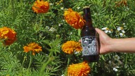 Cerveza artesanal de cempasúchil rinde homenaje al Día de Muertos en Puebla