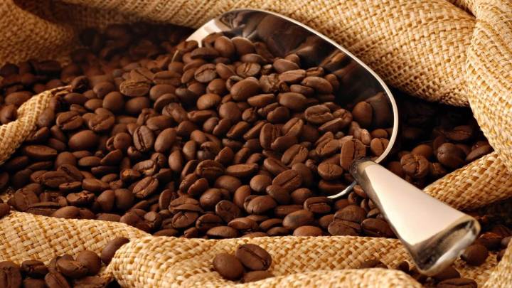 Exportación de café se incrementó este año un 500 % más que en 2024