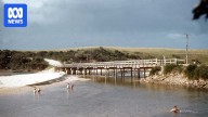 Historic timber Cuttagee Bridge to become double