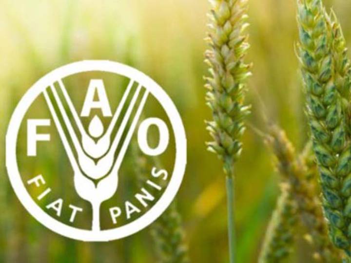 Confirma la FAO hambruna en zonas de Sudán