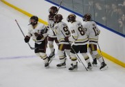 Staten Island HS hockey: Farrell settles for 6